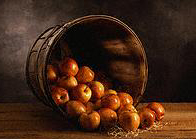 Apple Barrel